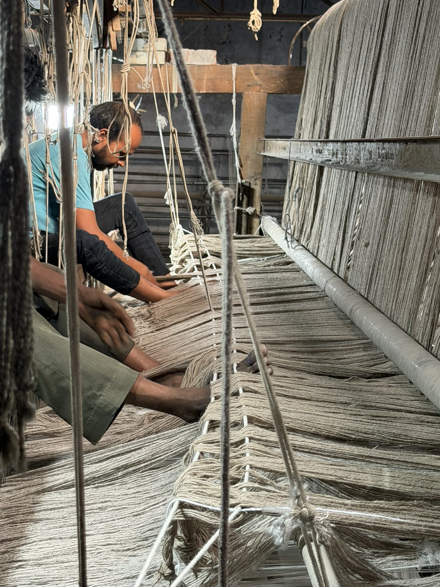 Jacquard handloom warp threads